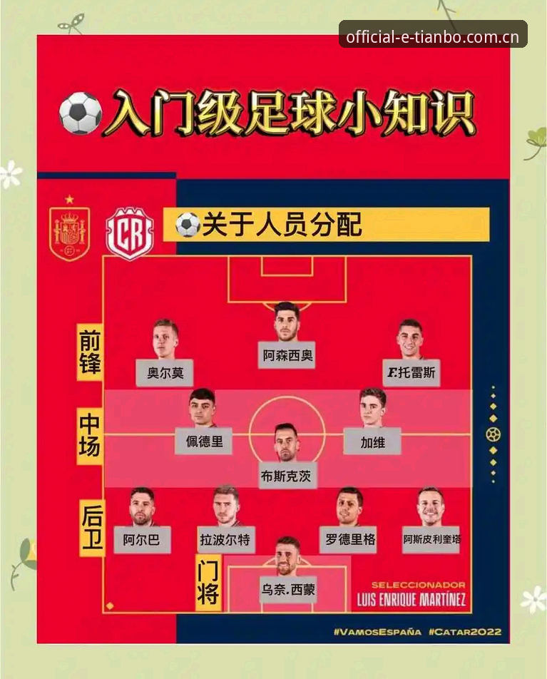 2030世界杯扩军至66队实用指南：中国男足重返舞台的必备知识